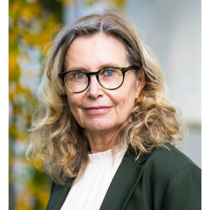 Prof. Karin Aggestam (Lund University)